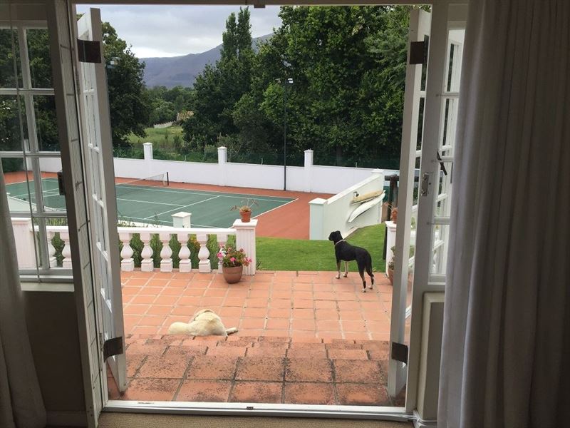 View from the Cottage double doors.