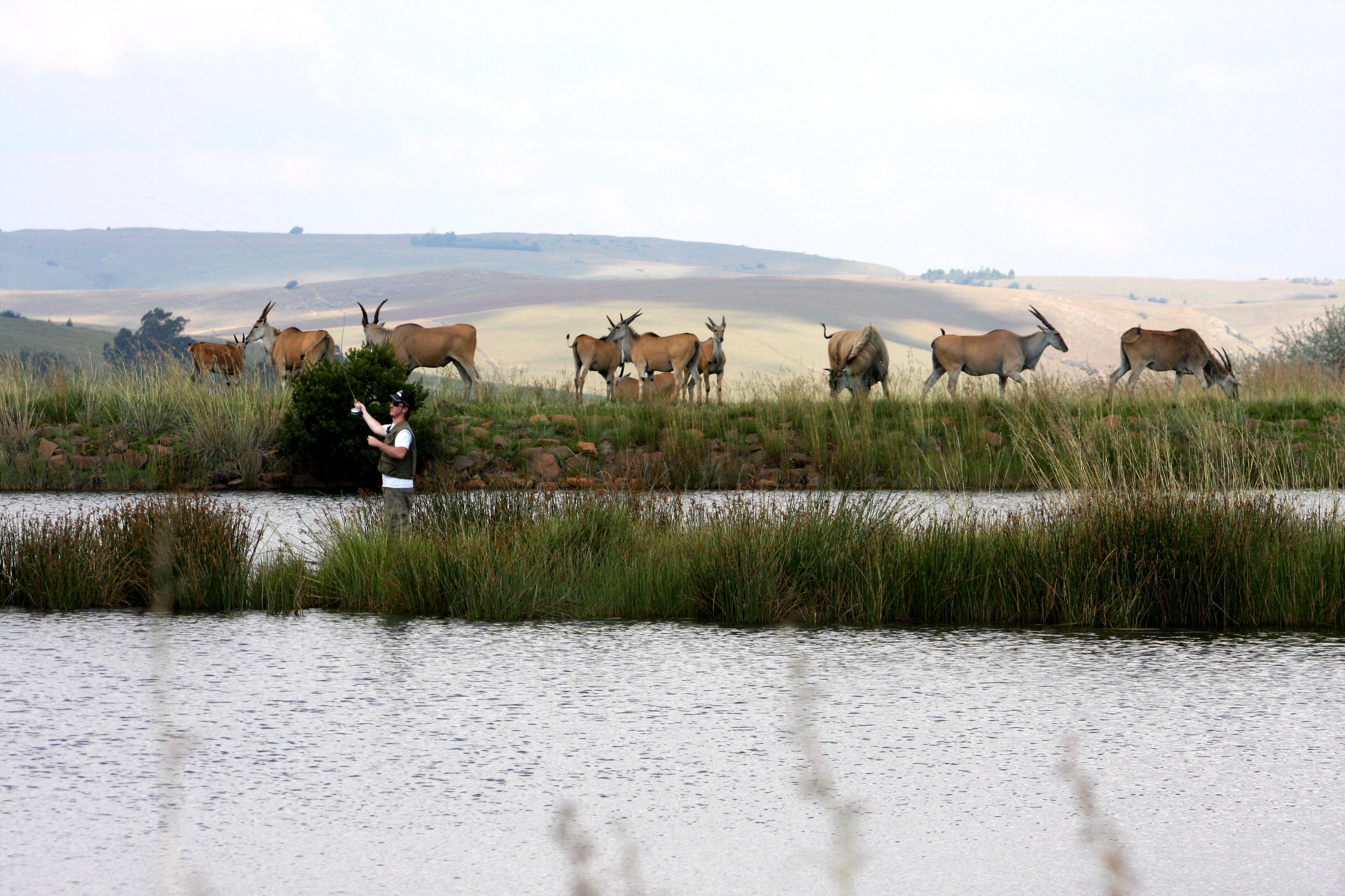 Elandskloof Trout Farm/Forel Plaas Affordable Deals Book Self