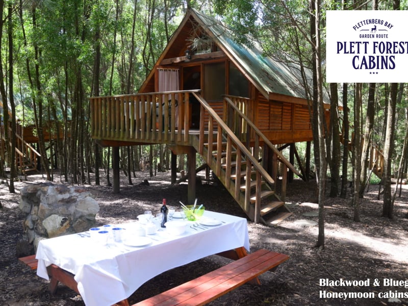 Plett Forest Cabins