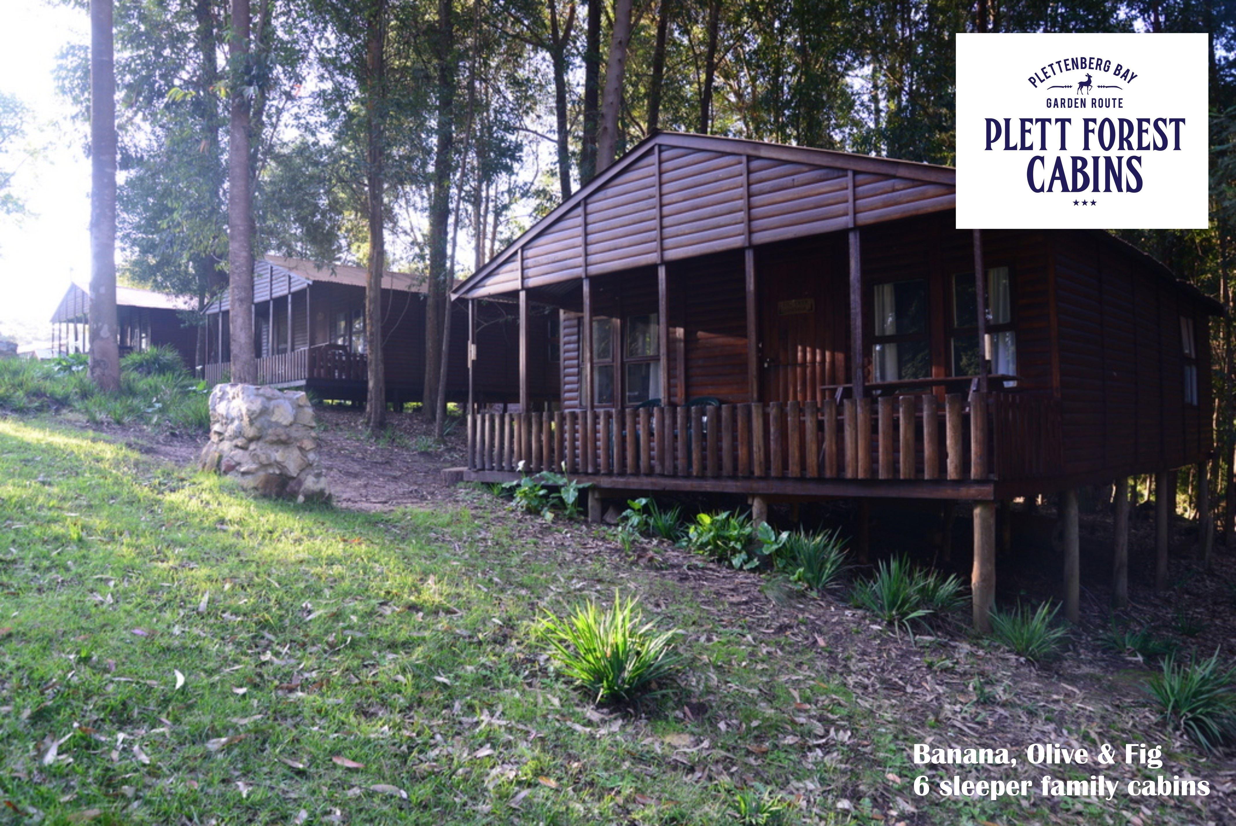Plett Forest Cabins | Accommodation Harkerville