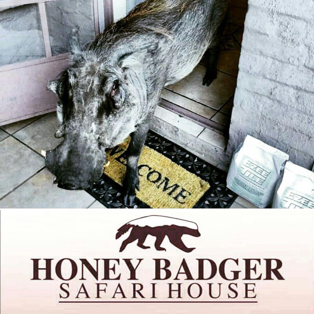 Honey Badger Safari House | Marloth Park Accommodation