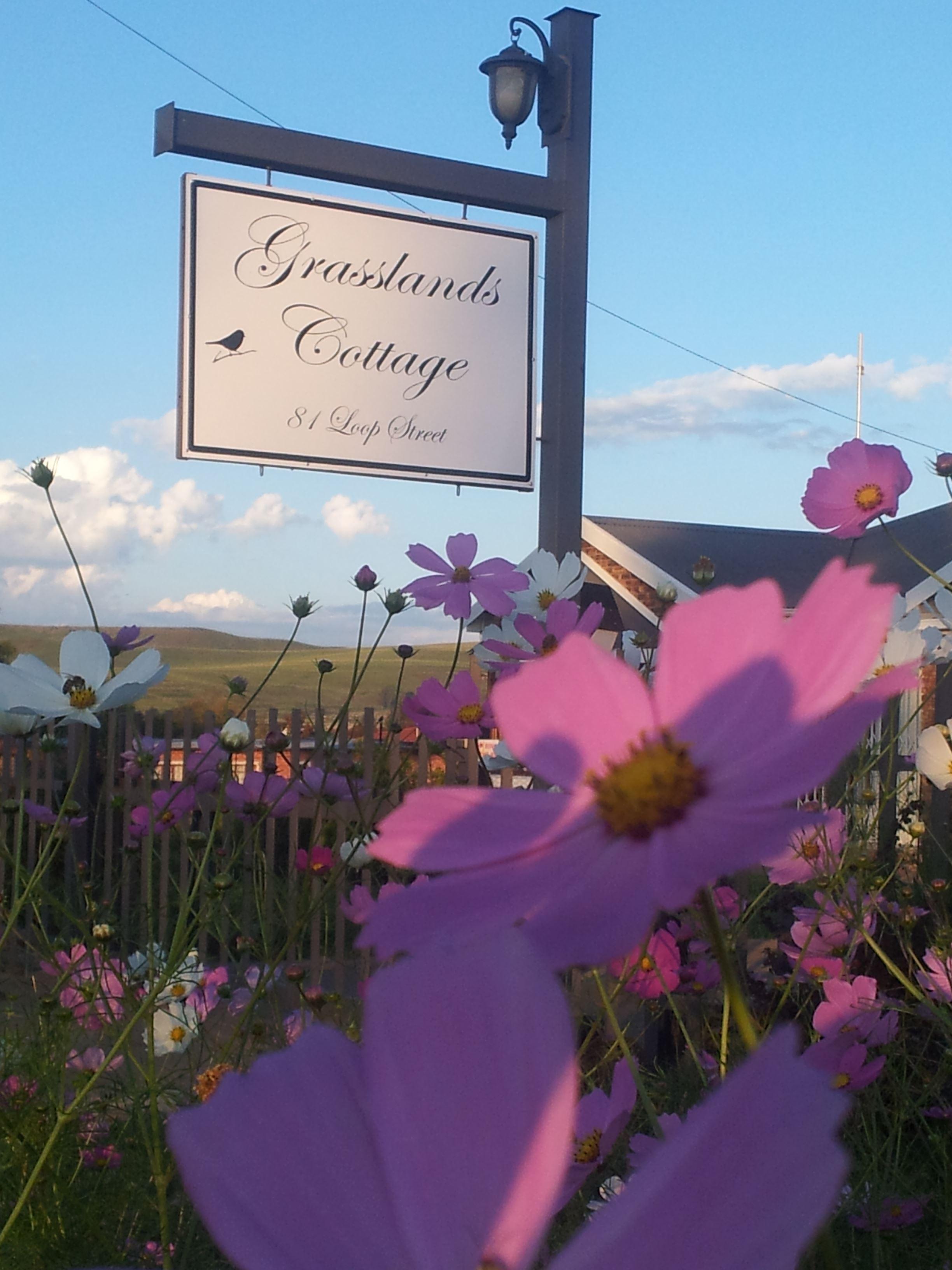 Grasslands Cottage | Accommodation Wakkerstroom