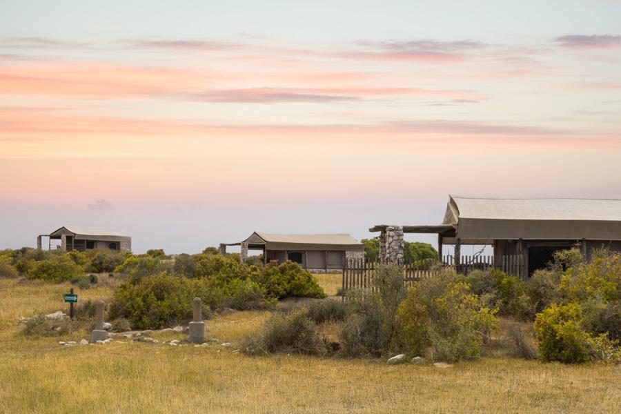 Thali Thali Game Lodge Luxury Tents