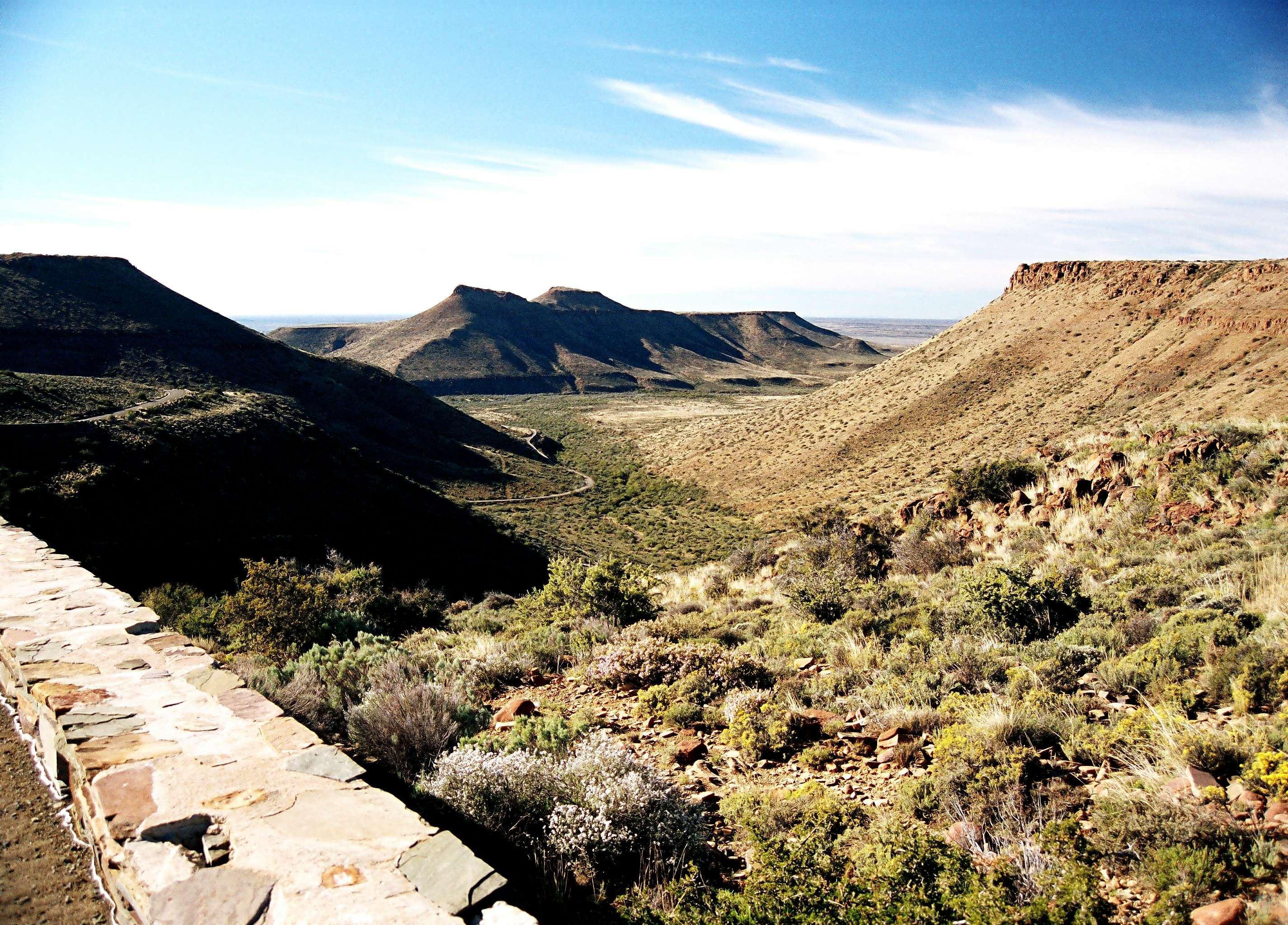 4 Night Garden Route Tour (CPT return)