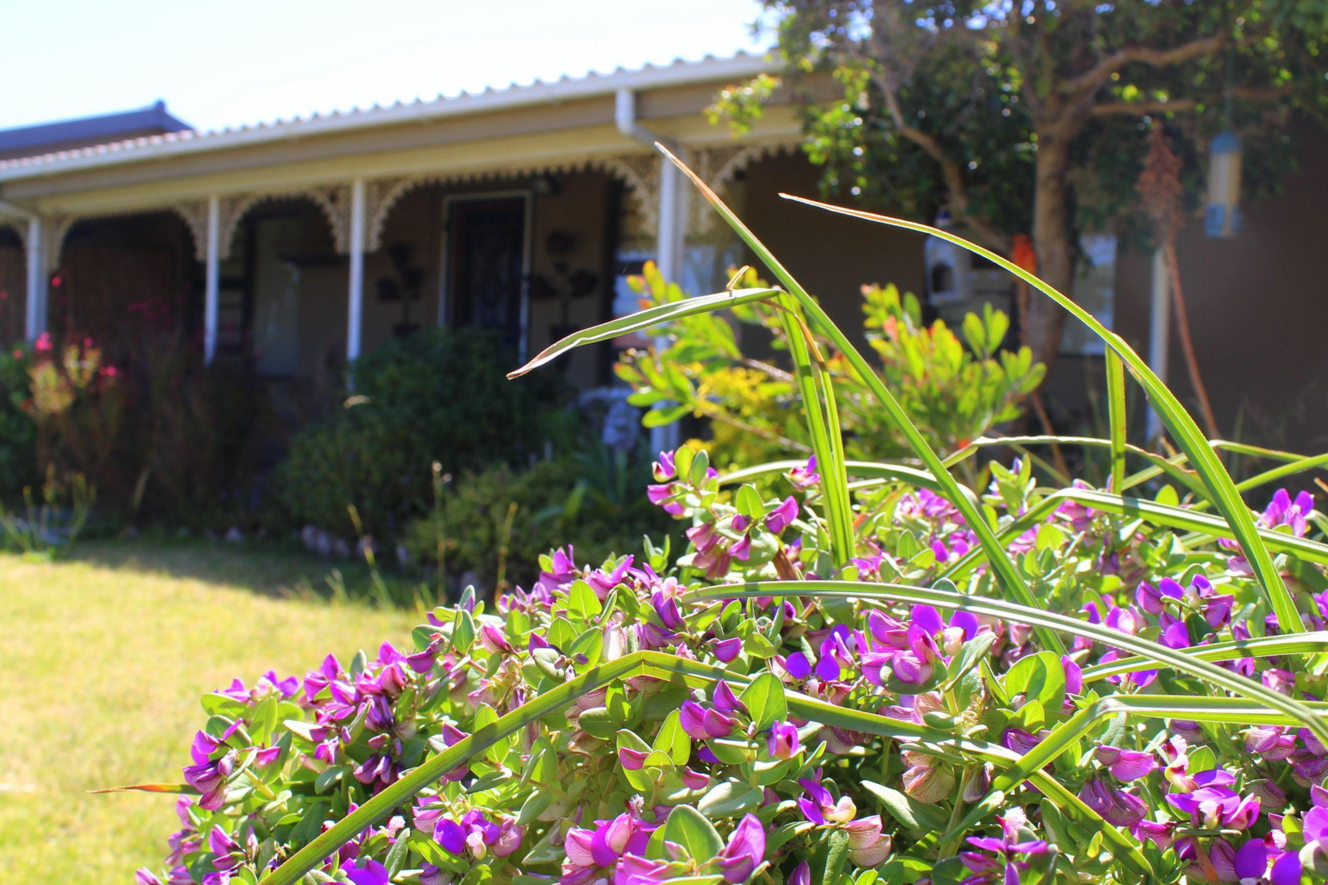 Betty's Rest | Bettys Bay Self-catering
