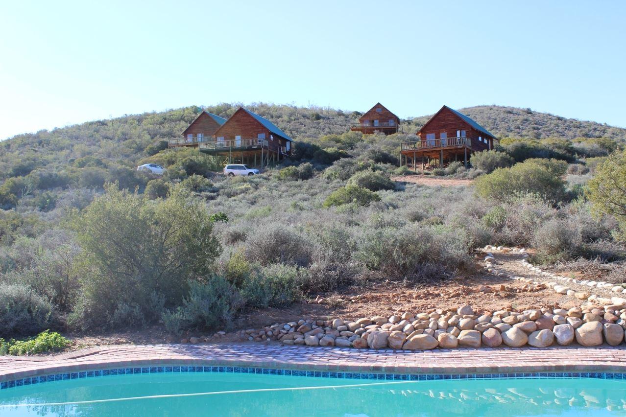 The Travelling Tortoise | De Rust Self-catering
