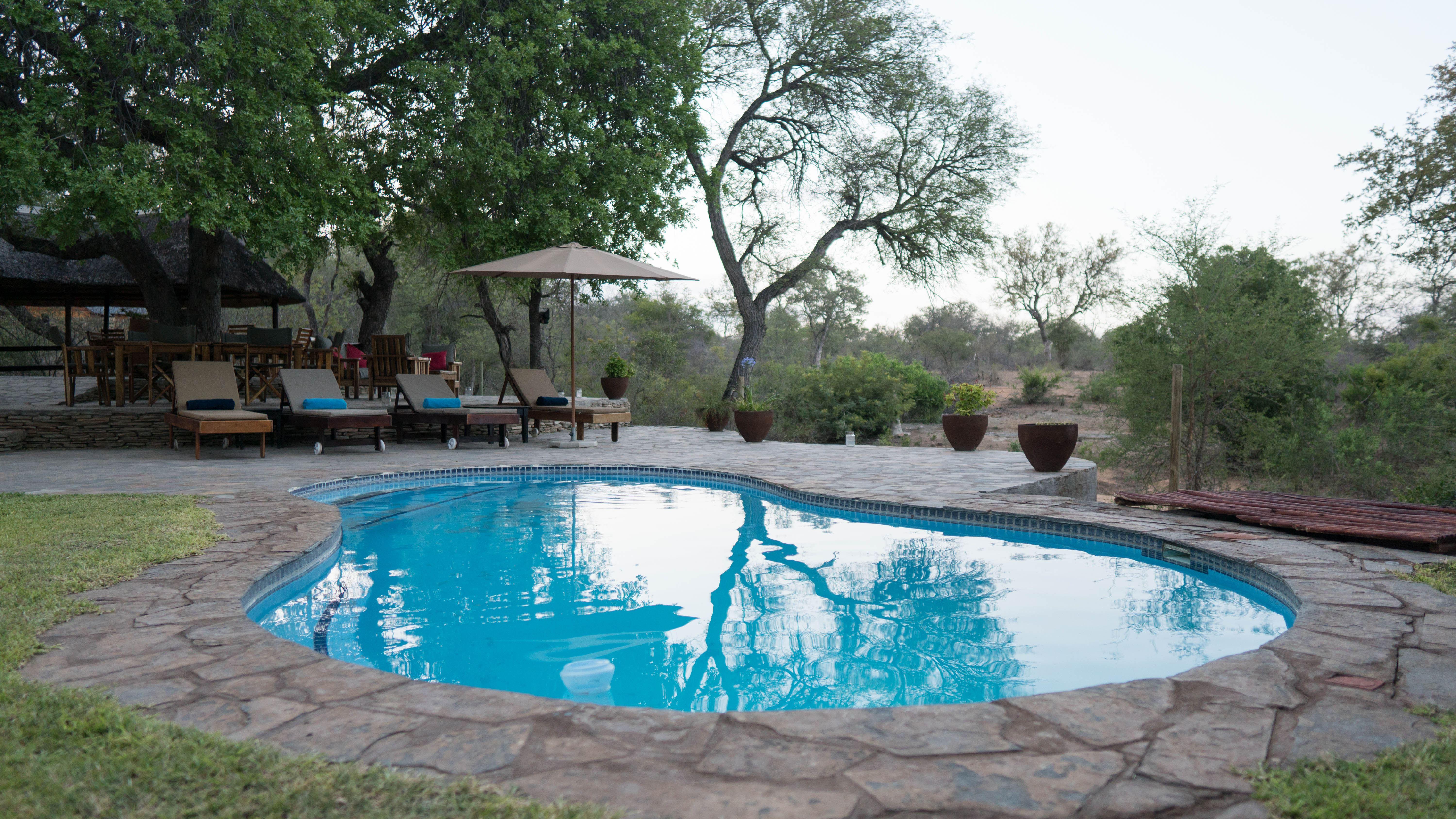 Ku Sungula Safari Lodge | Accommodation Balule Nature Reserve