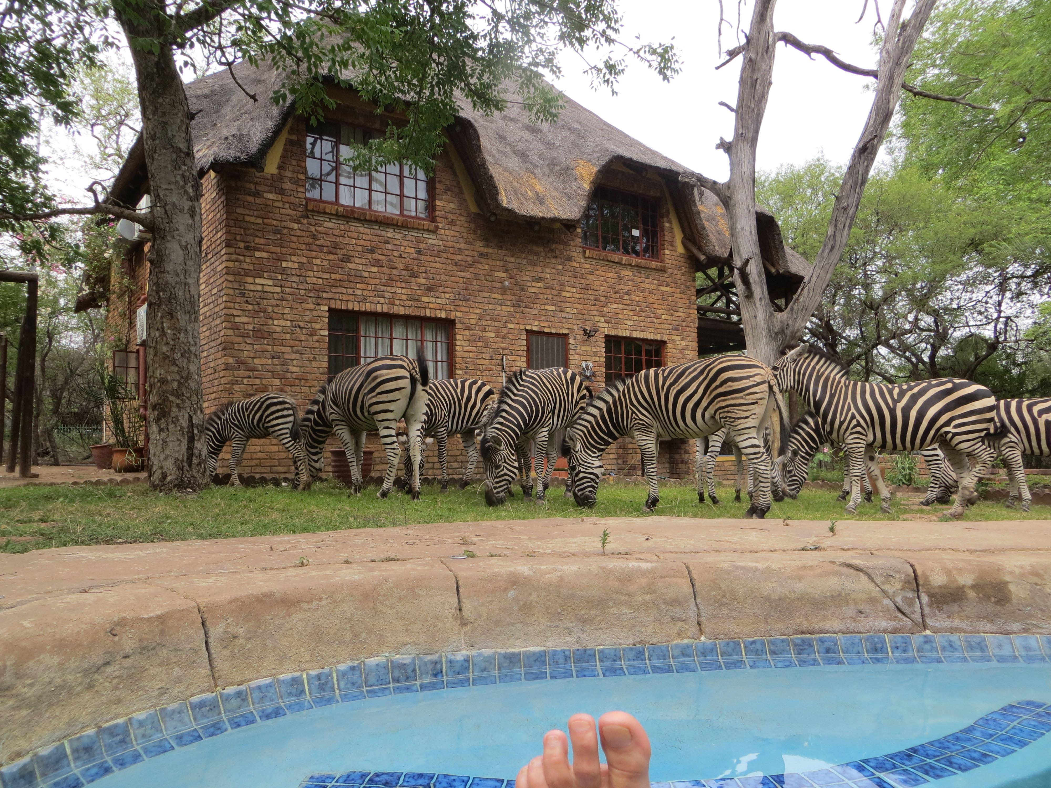 Rafiki's Resthouse | Marloth Park Self-catering