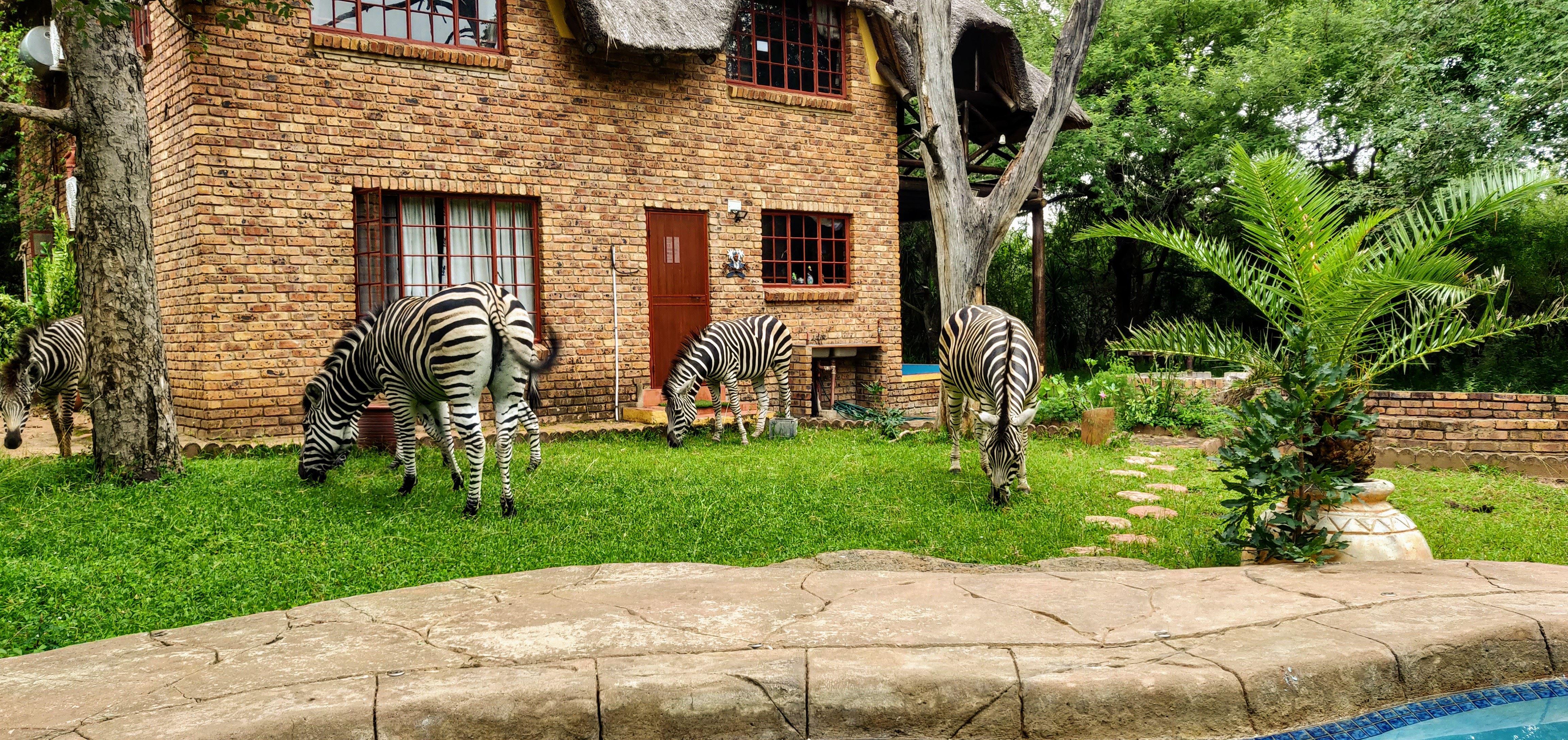 Rafiki's Resthouse | Accommodation Marloth Park