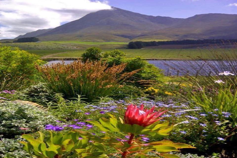 Hemel-en-Aarde Valley Fine Wine Tour