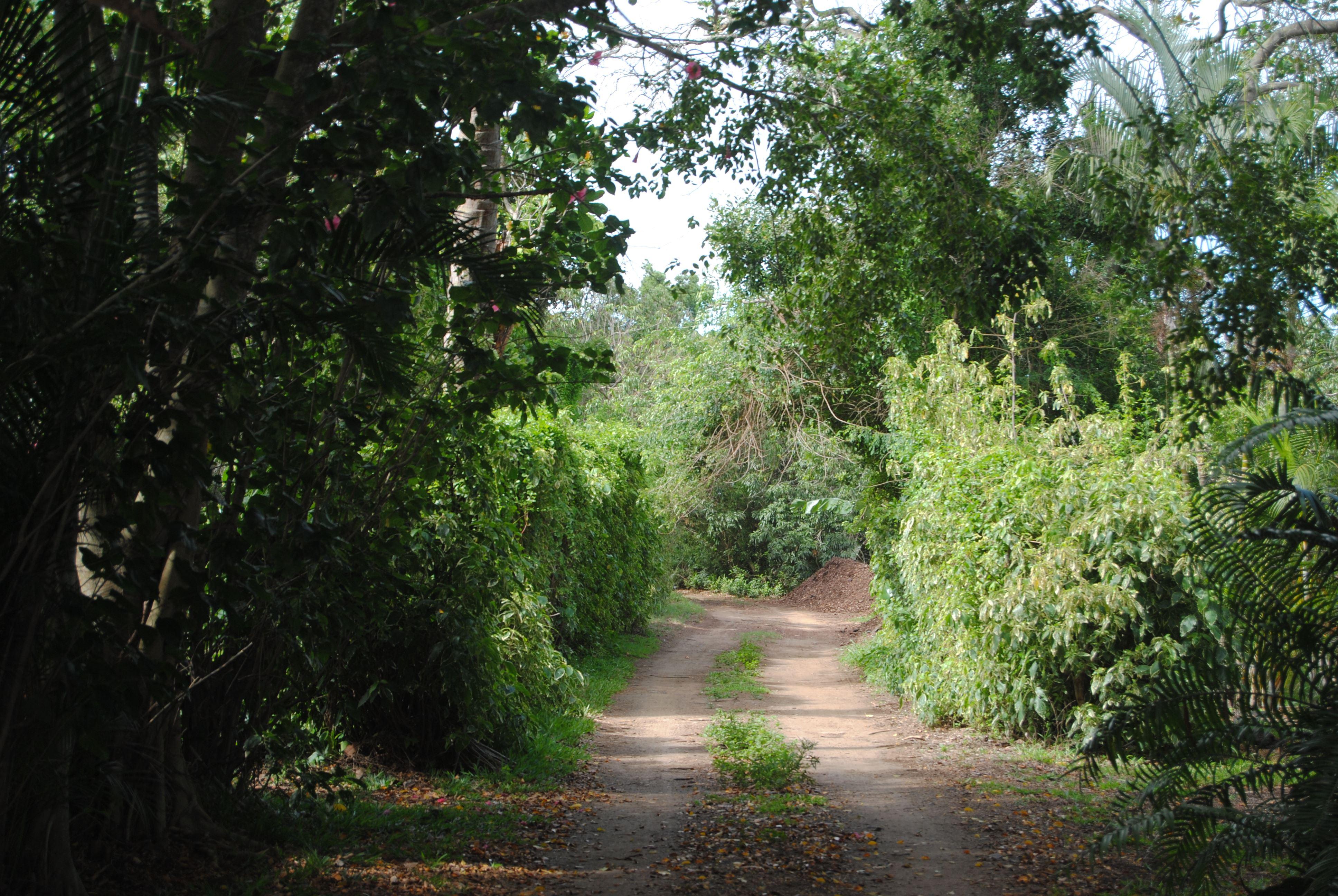 Maywood Farm Cottage | Accommodation Monzi SH