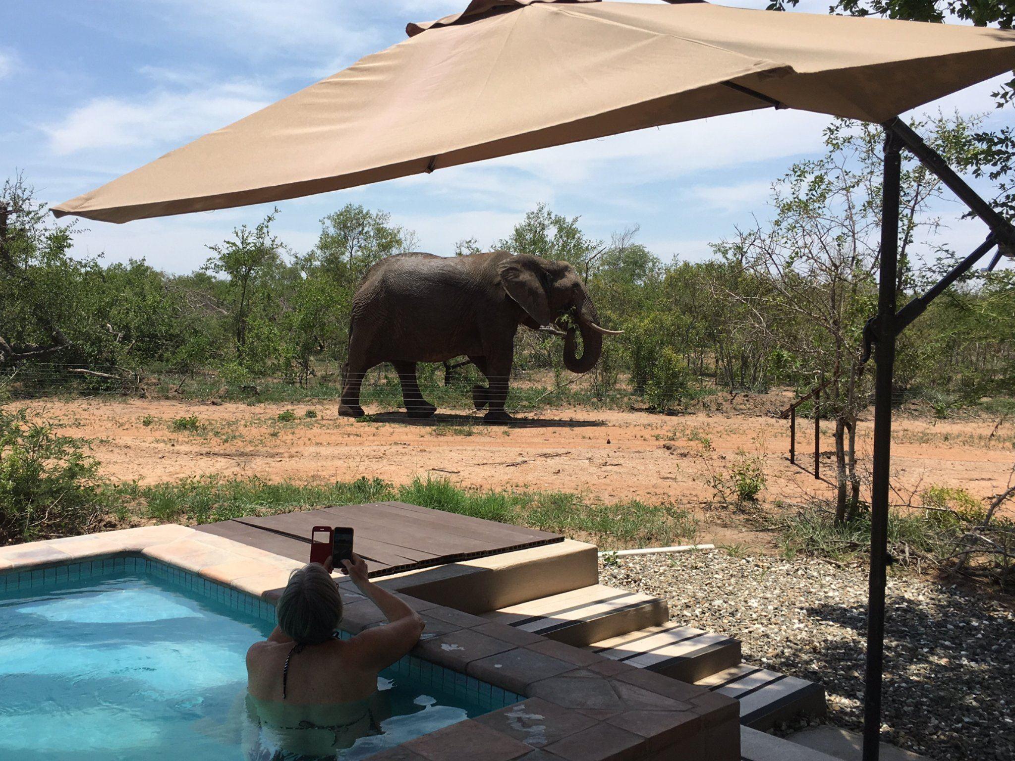 Badger Bush Lodge