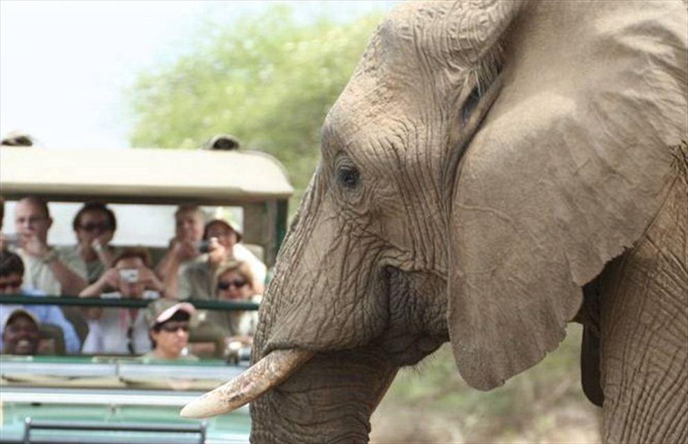 6 Night Kruger Park and Mozambique Safari Tour | South Kruger Park Accommodation
