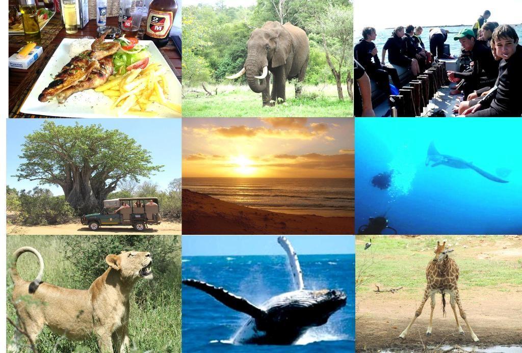 Mozambique, Kruger and Limpopo Park Ultimate Safari | Special Deals and