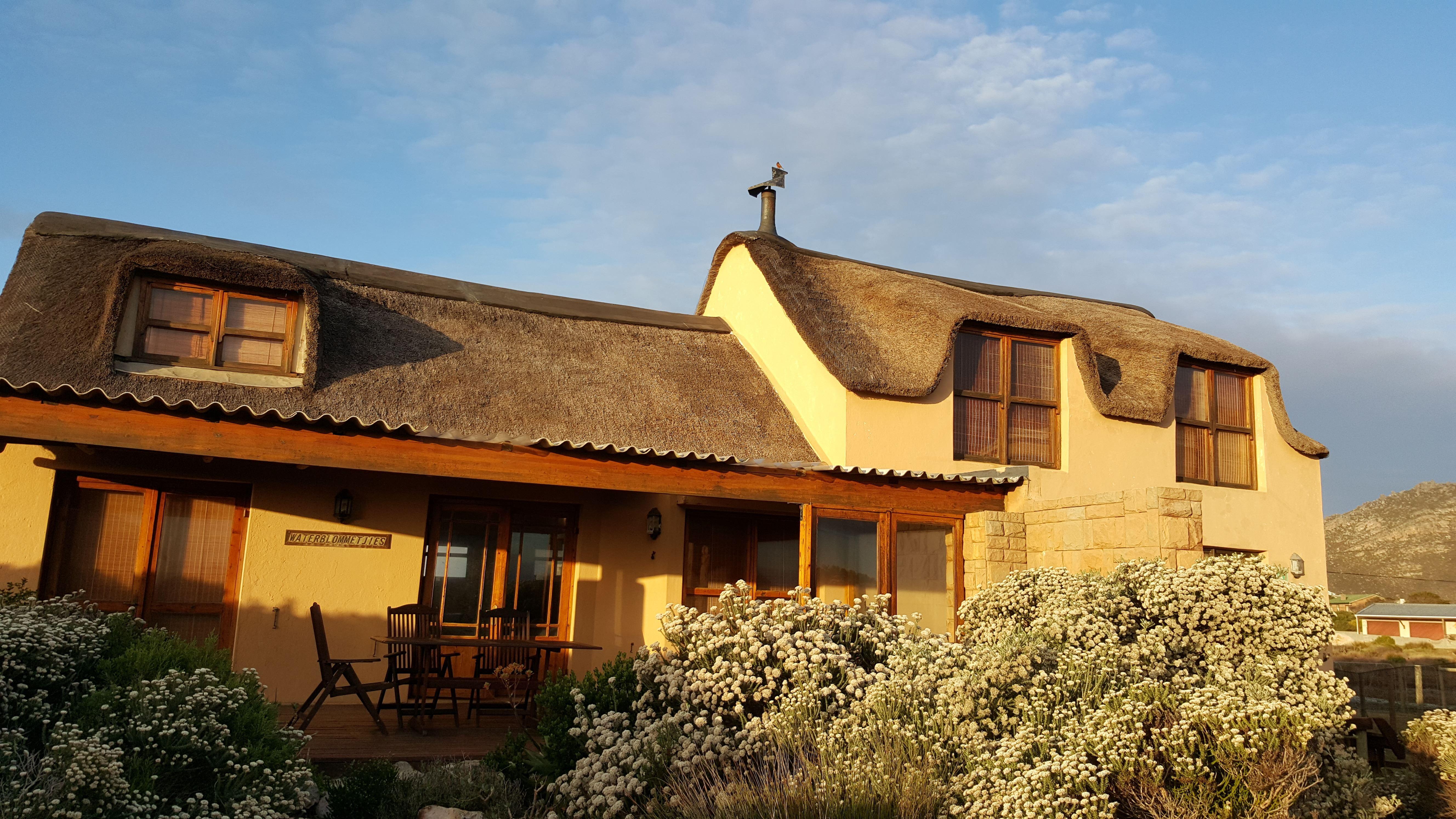 Waterblom - Seaview Retreat in UNESCO Biosphere | Pringle Bay Accommodation