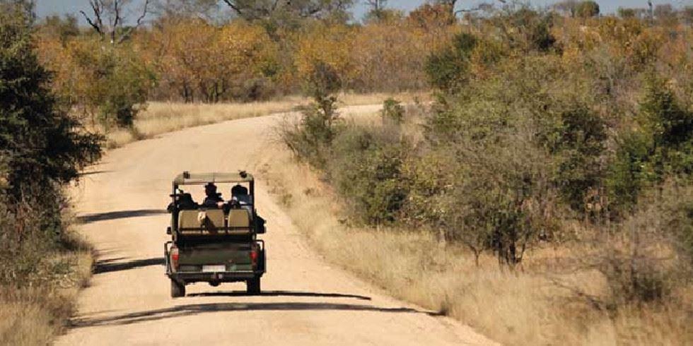 4 Day Kruger Experience Lodge-Treehouse