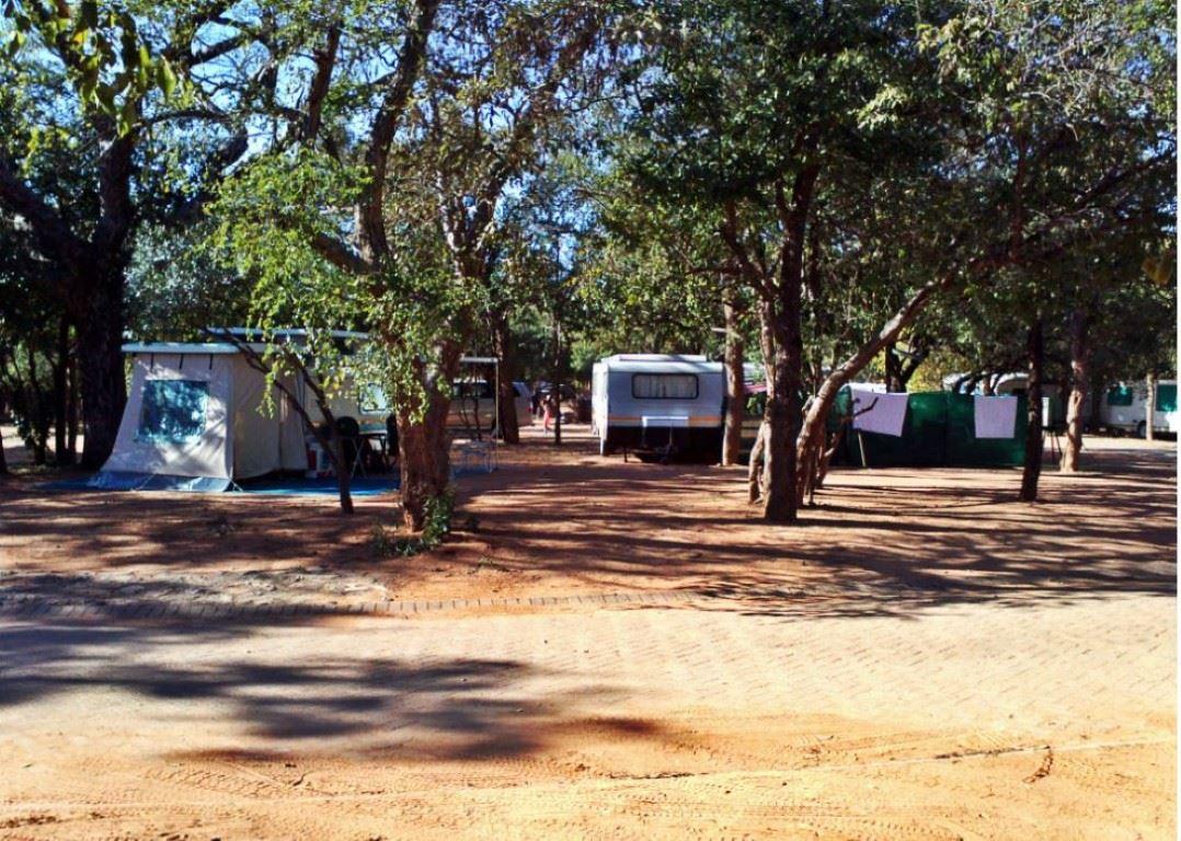 2 Night Safari Package at BergenDal Rest Camp Kruger National Park SANParks