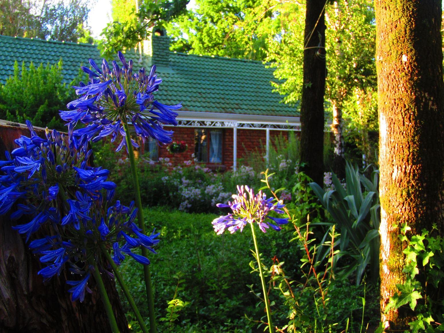 Woodlands Retreat | Clarens Accommodation