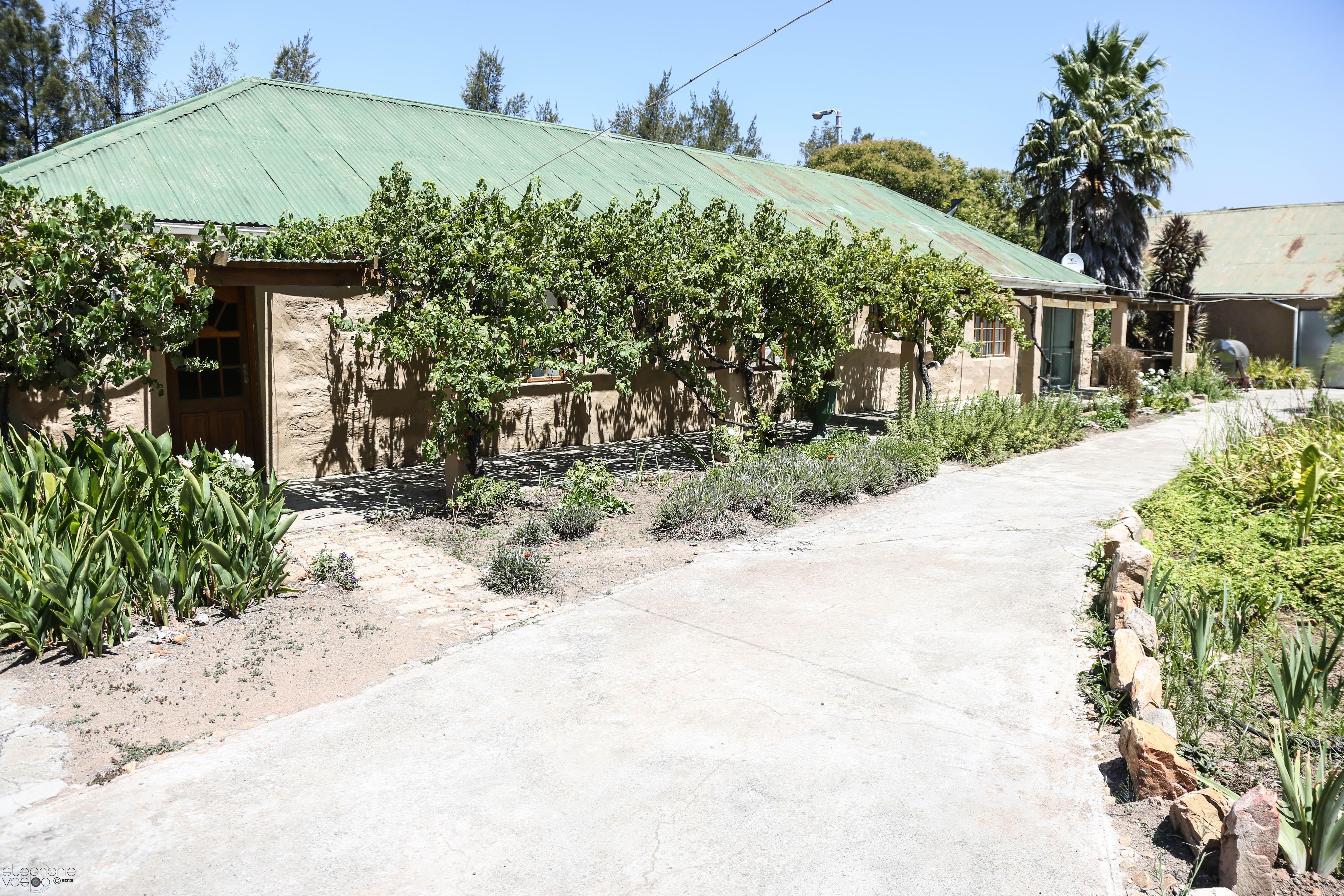 Langkloof Guest House | Accommodation Louterwater