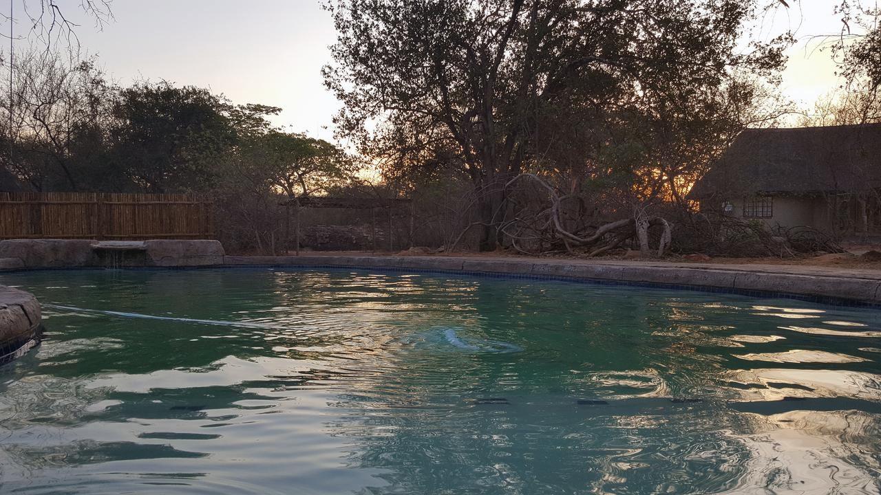 Awelani Lodge | Lodges Mutale
