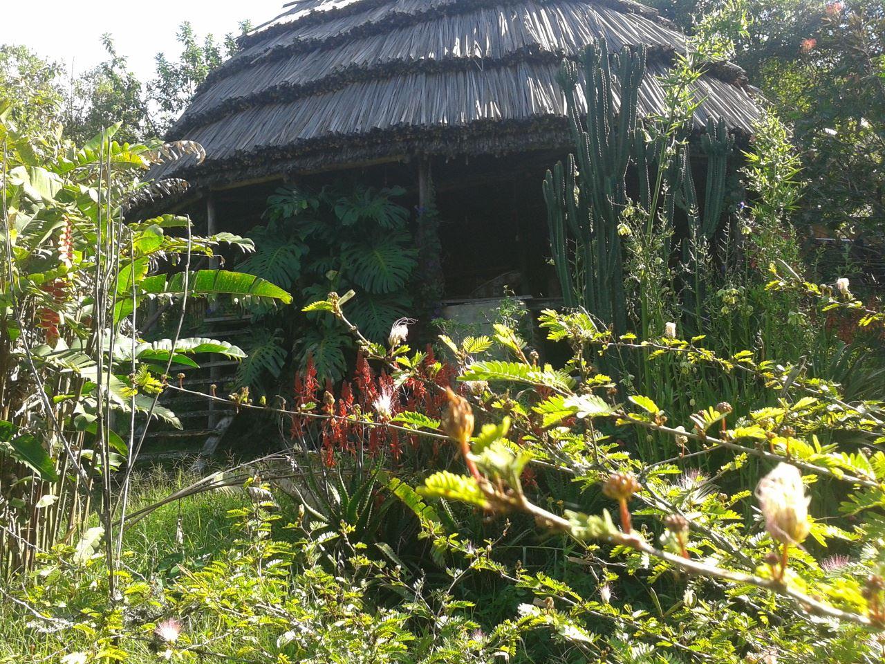 Cuckooland Tented Lodge | Bwindi Impenetrable National Park Accommodation