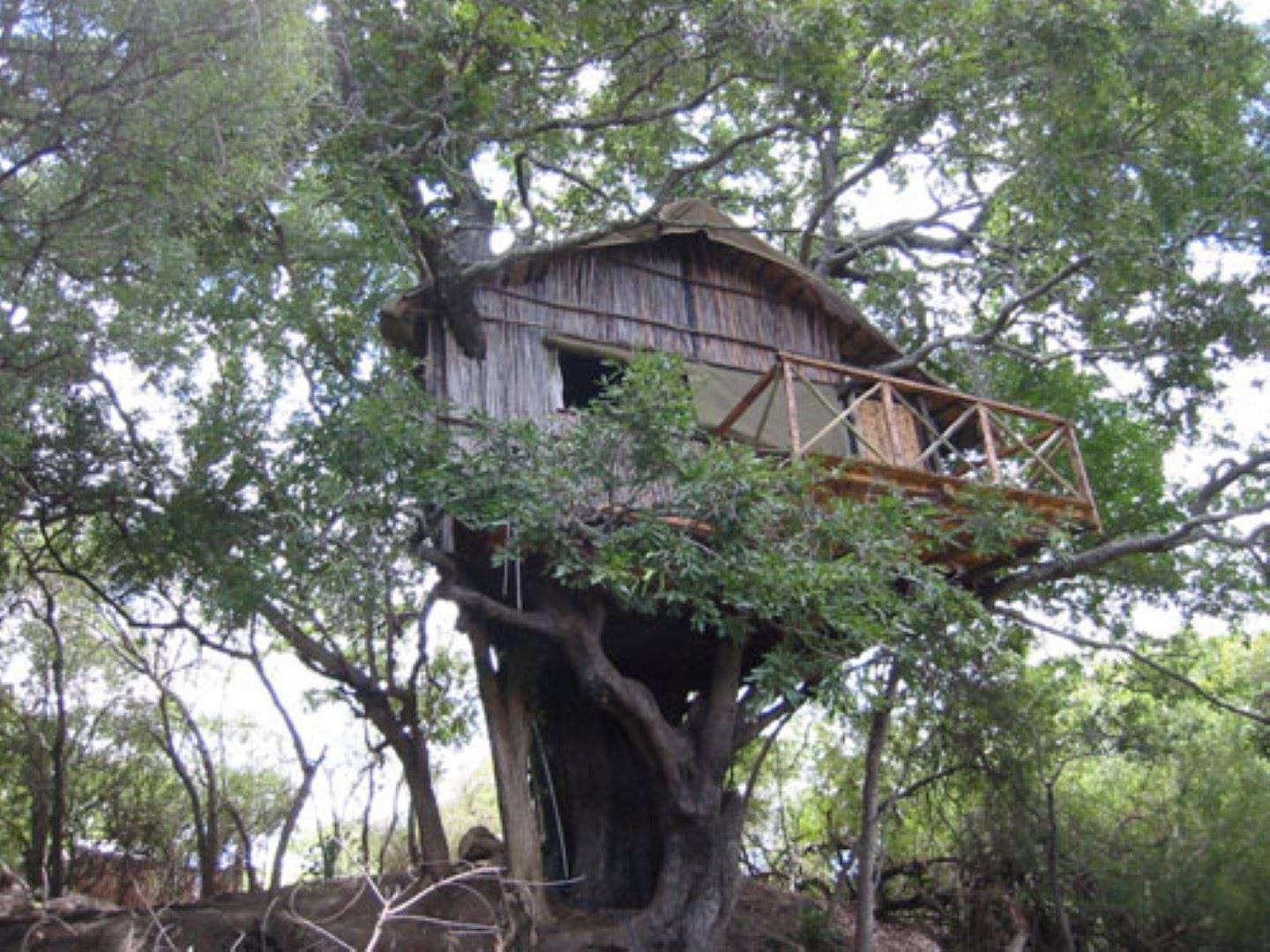 2 Night, 3 Day Marc's Treehouse Kruger Safari