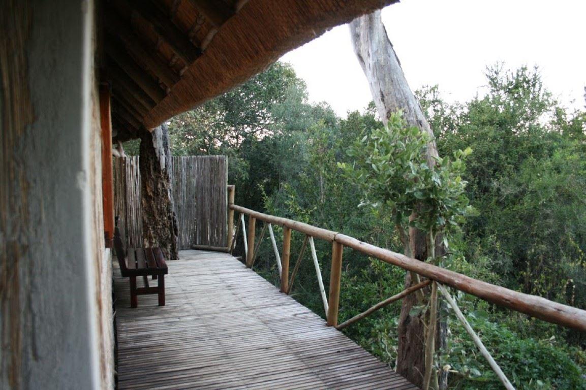 3 Night, 4 Day Marc's Treehouse Kruger Safari | Accommodation Hoedspruit
