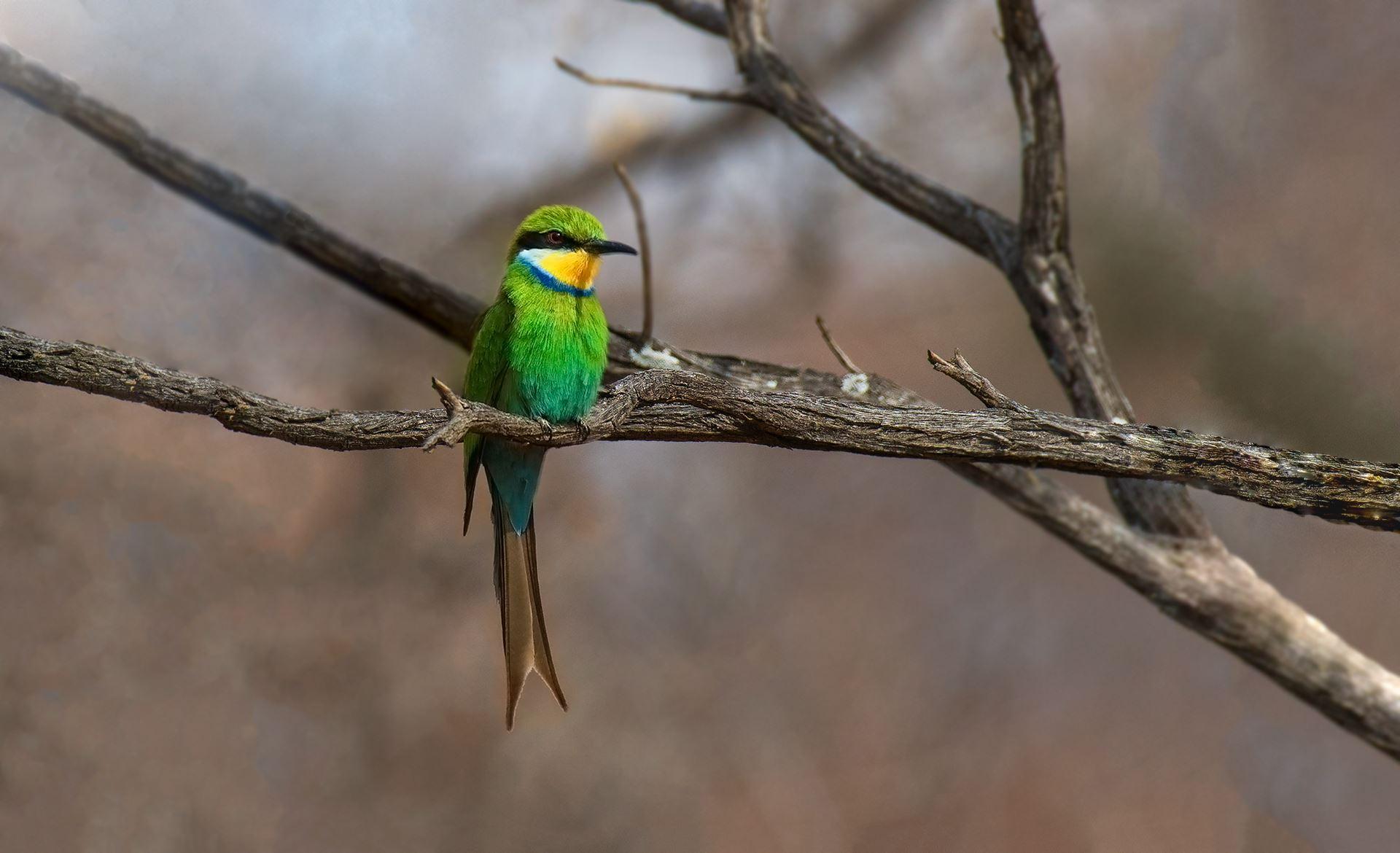 Kaingo Game Reserve | Waterberg Accommodation
