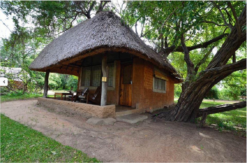 Wildlife Camp | Luangua Lodges