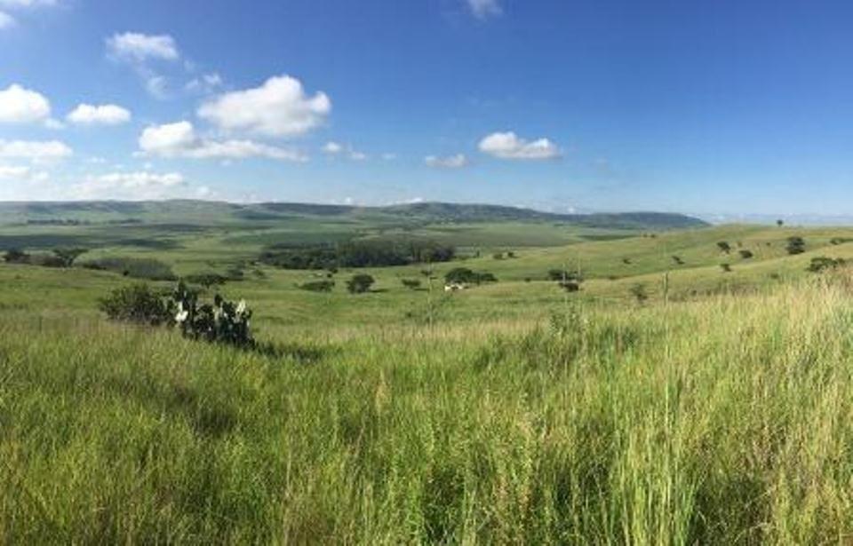 Ukuphumula Lodge | Bergville Accommodation