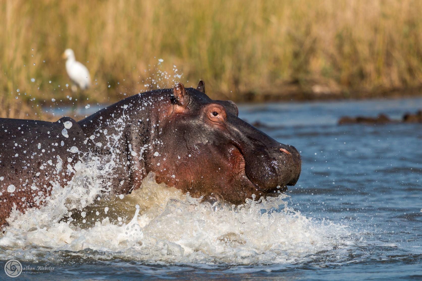 3 Night St Lucia Safari Package | Accommodation St Lucia