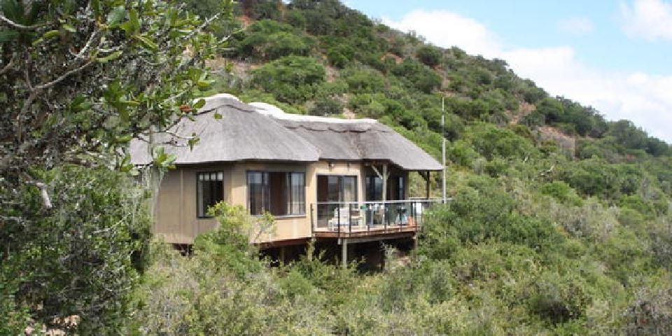 Bou Bou Lodge | Lodges Amakhala Game Reserve