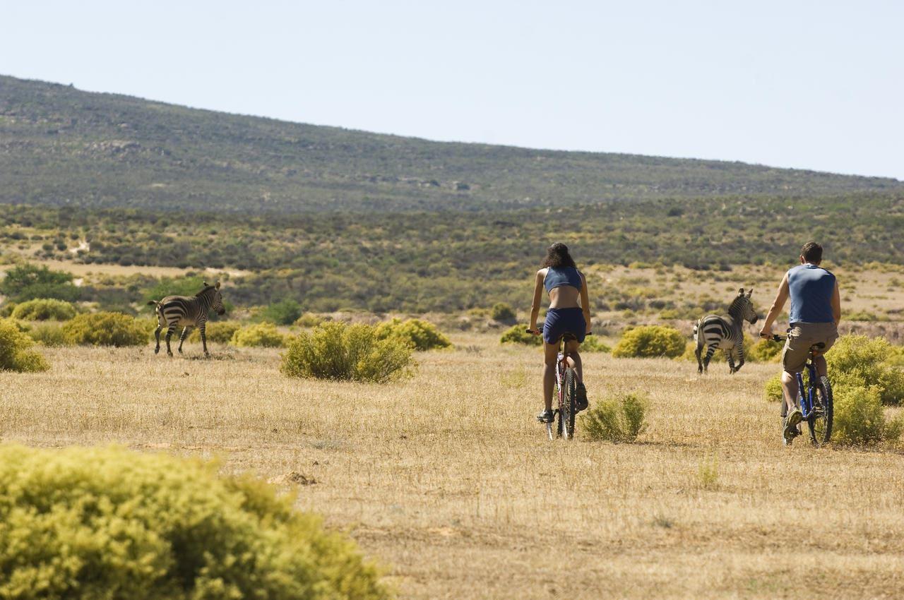 2 Night Natural Wellness Package | Clanwilliam Accommodation