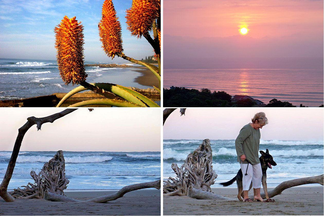 Dolphin & Whale Africa Villa | Self-catering Trafalgar
