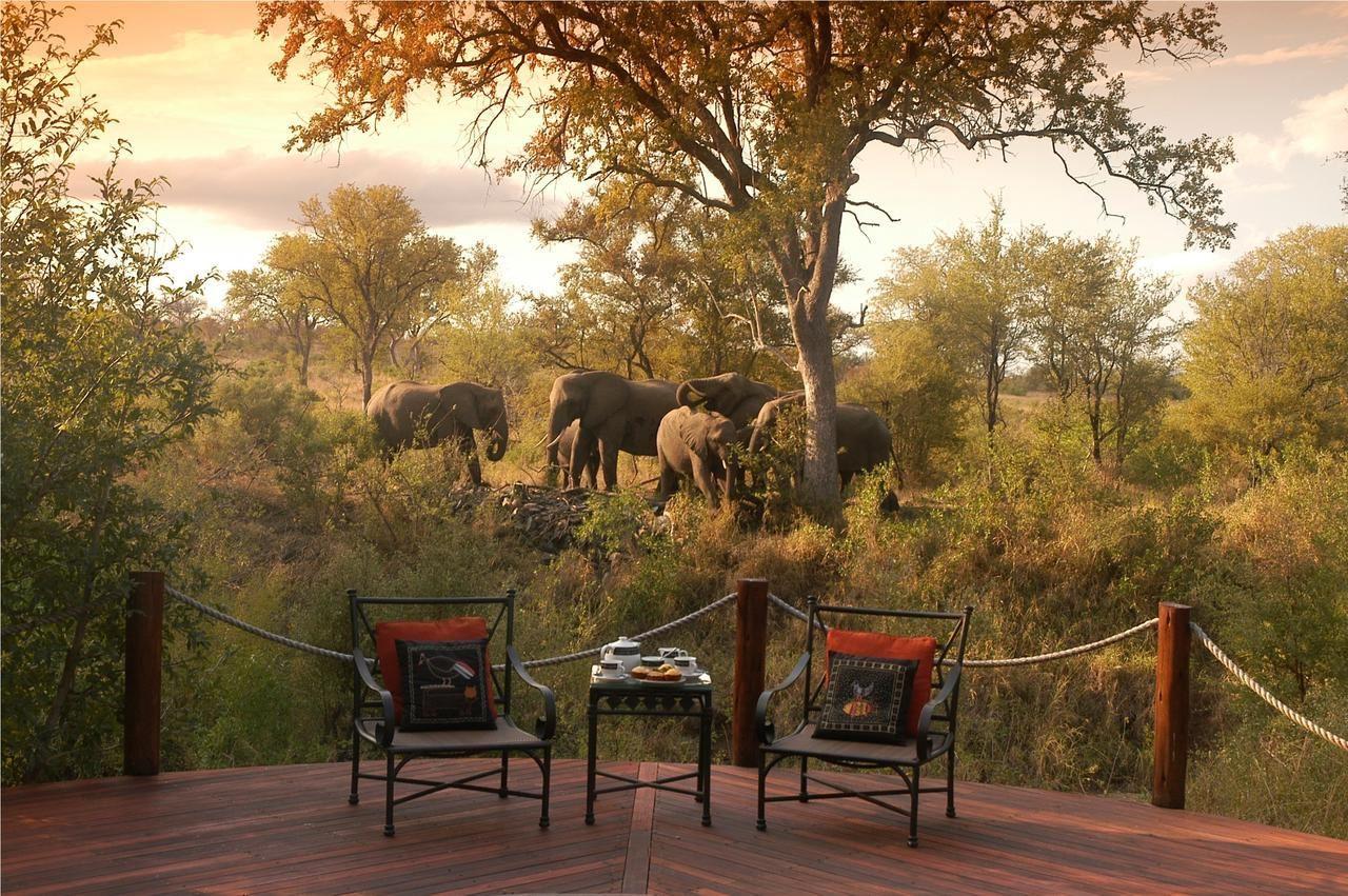 2 Night Hoyo Hoyo Safari Package | Hotels South Kruger Park