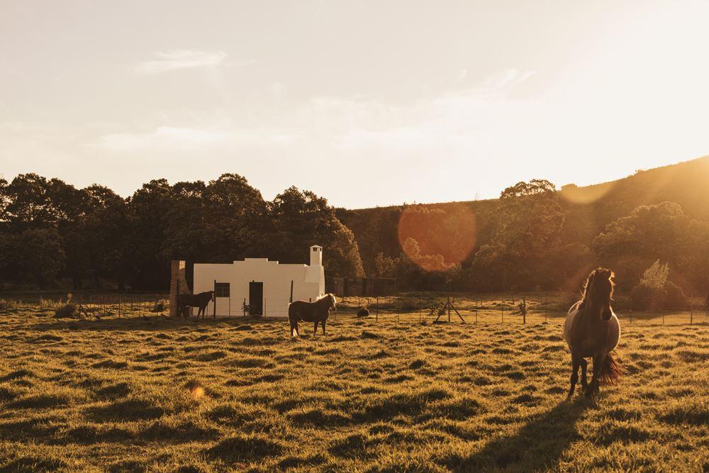 Hermitage Huisies | Swellendam Accommodation