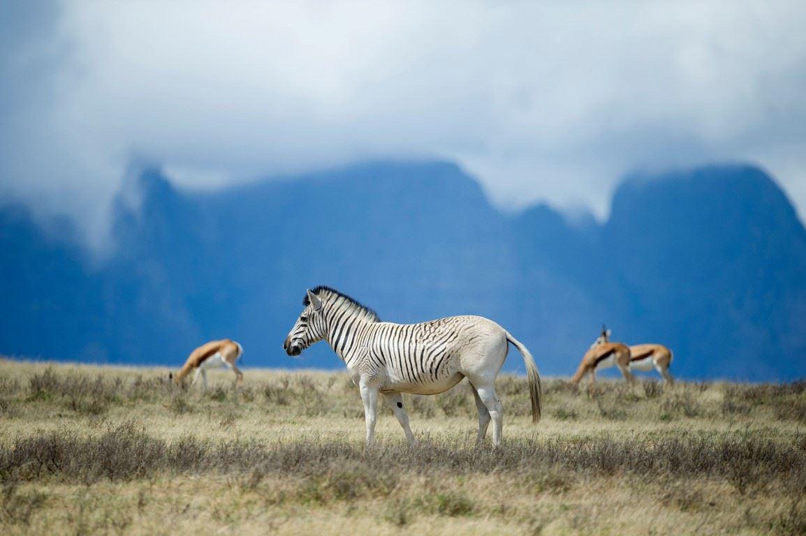 2 Nights in the Karoo National Park SANParks