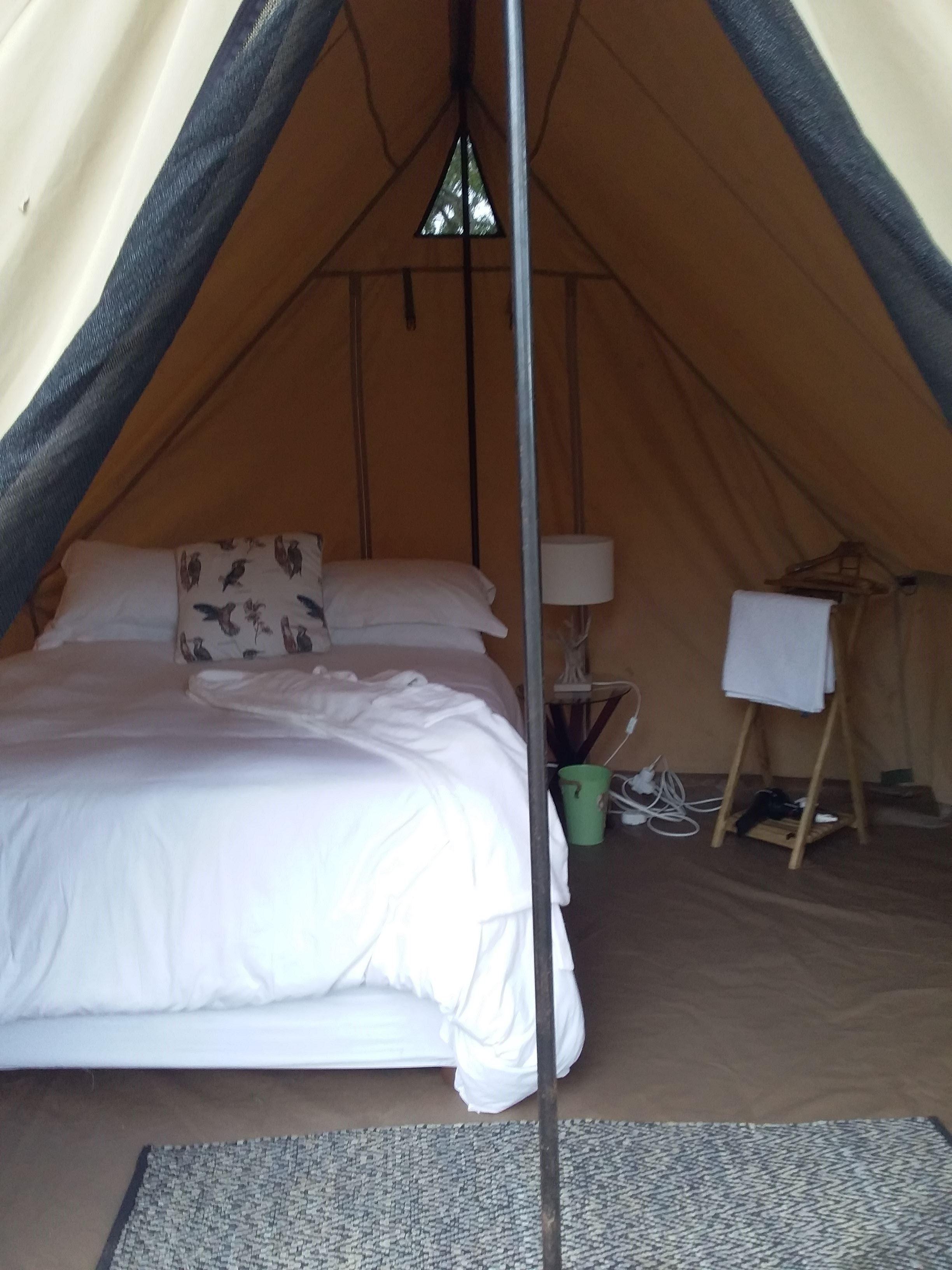 3 Kruger Park Tour | Accommodation Andover Nature Reserve