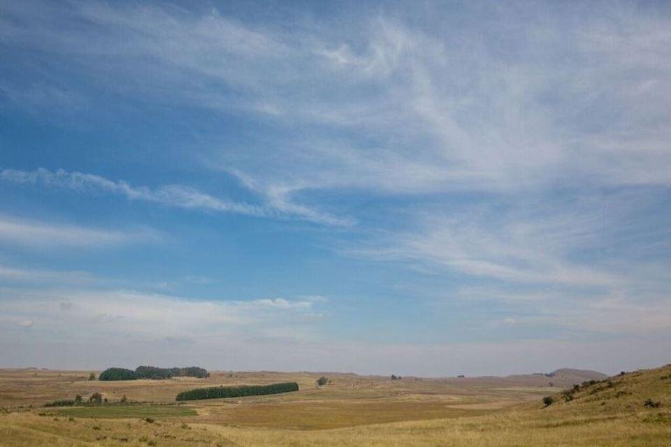 Dabchick Cottage | Accommodation Dullstroom