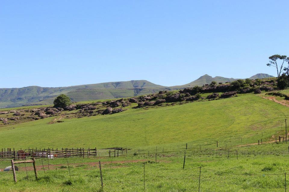 Blarney Stone Cottages | Maclear Accommodation