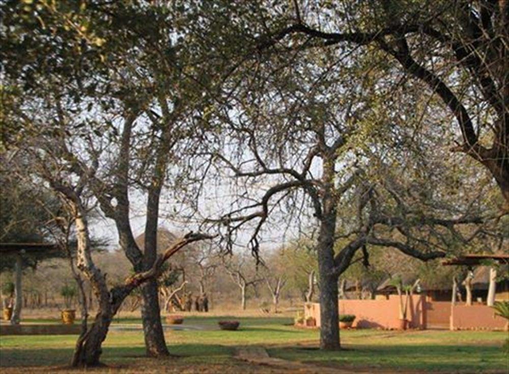 Hardekool Game Lodge | Gonarezhou National Park Accommodation