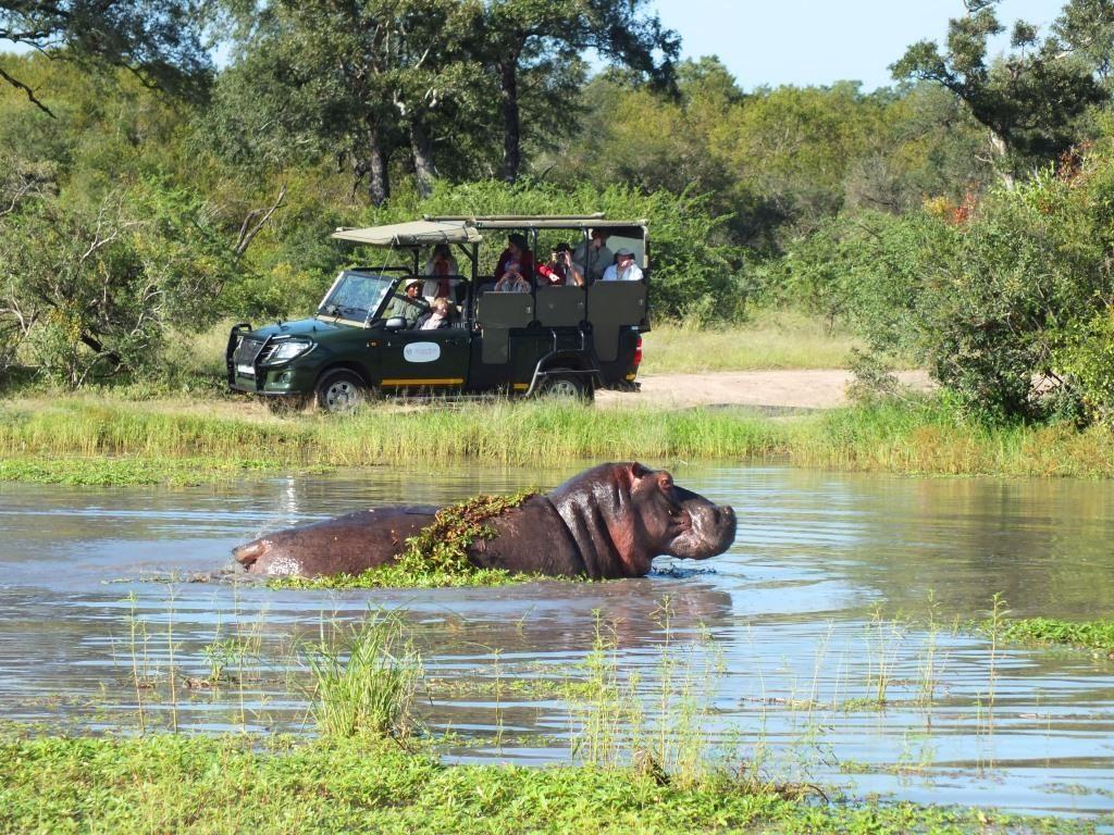 Journey Through Kruger Safari | South Kruger Park Accommodation
