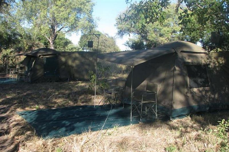 Bush Baby Calls Reserve Your Hotel, SelfCatering, or Bed and