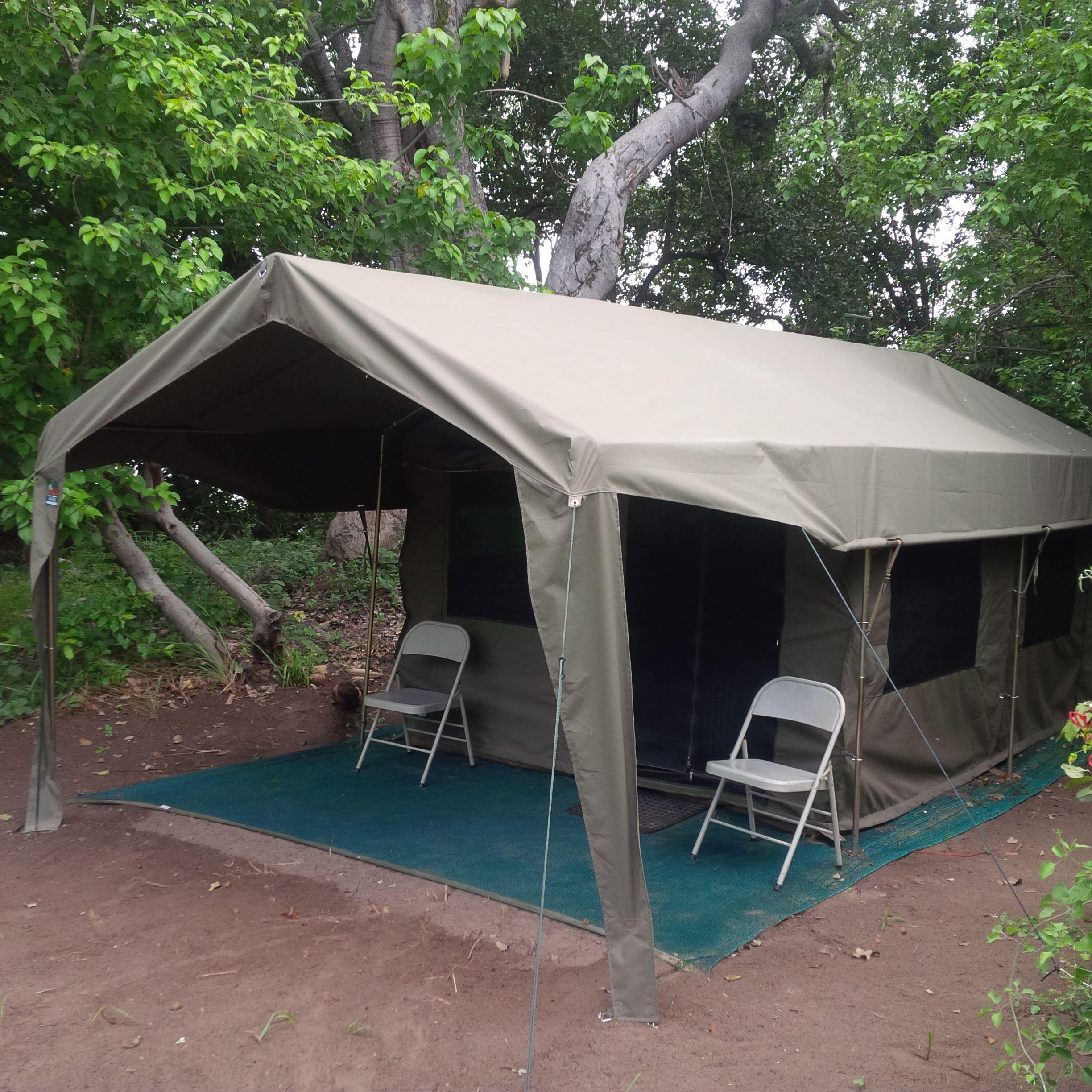 Bush Baby Calls | Accommodation Maun
