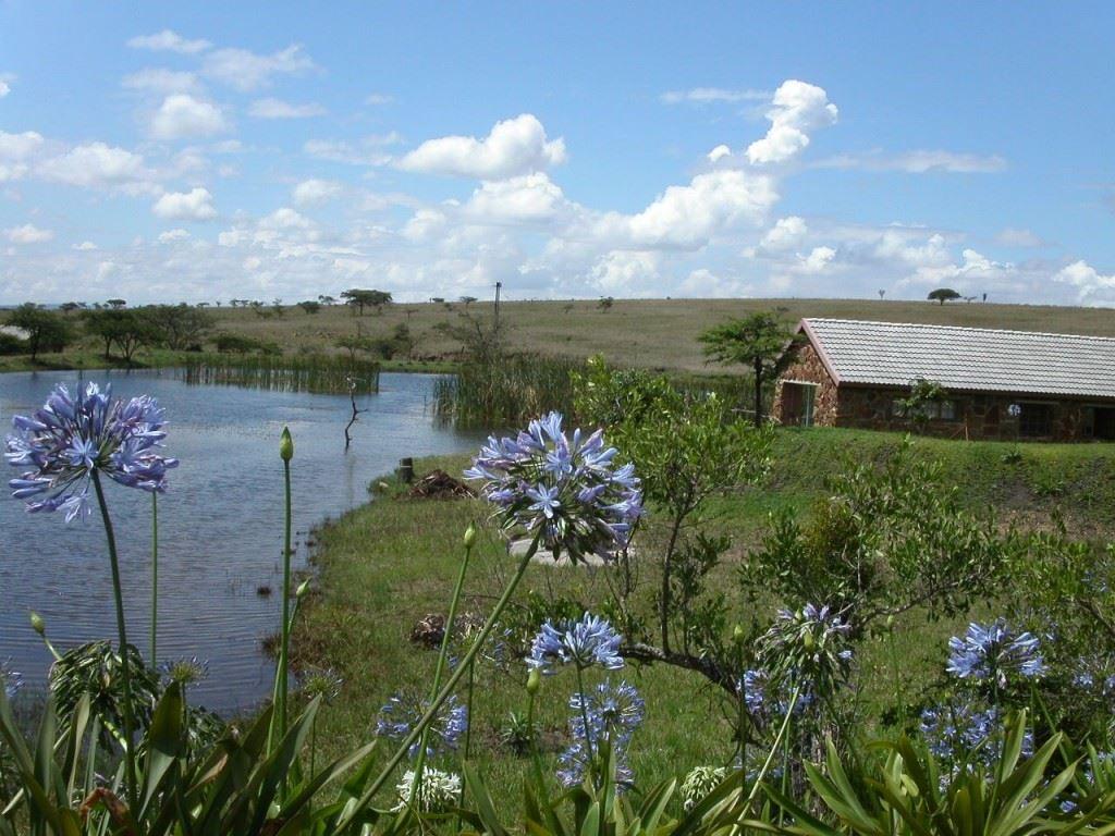Ntibane Bushveld Hideaway | Hotels Louwsburg