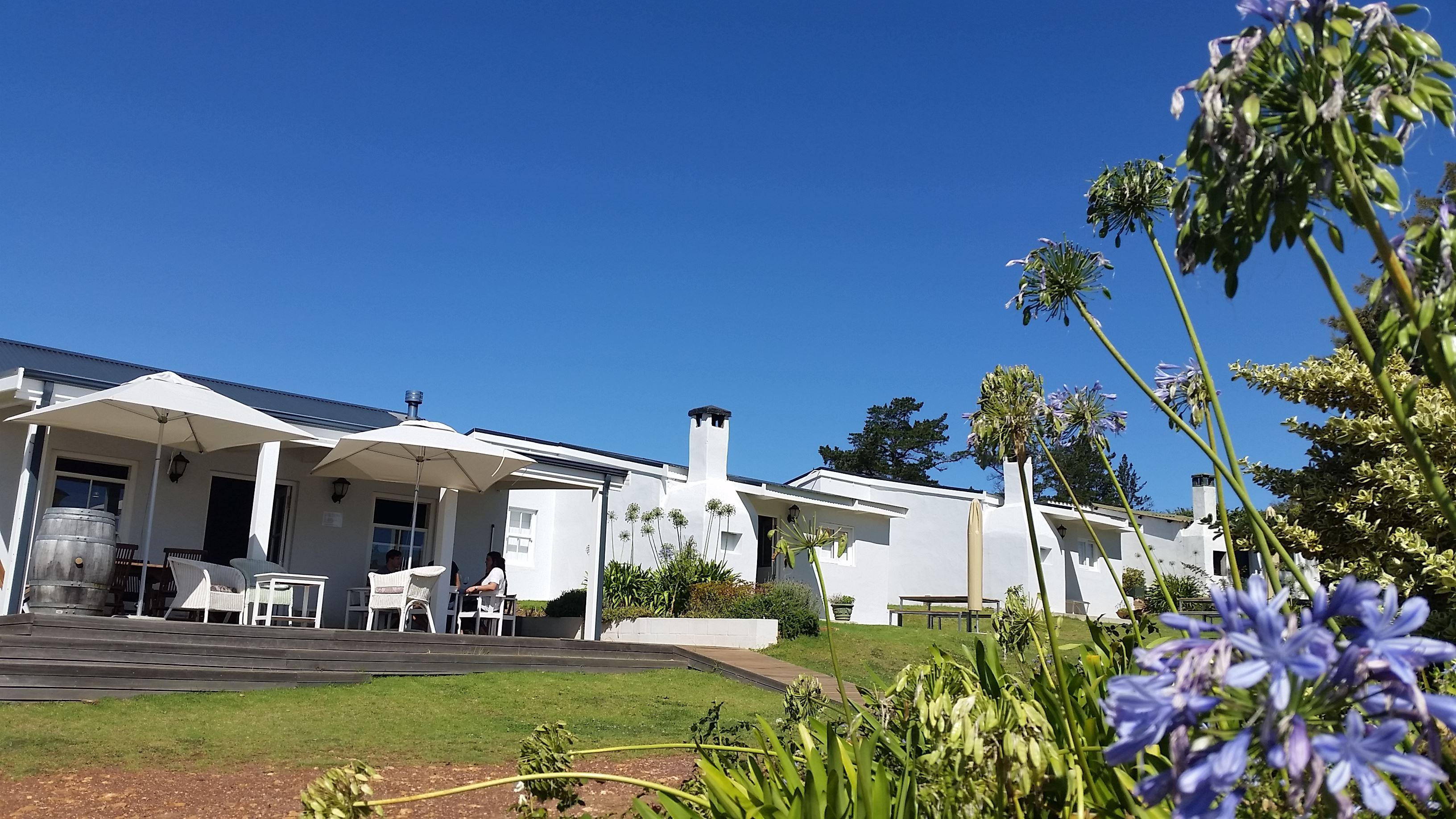 Paul Wallace Wines and Guest Cottages | Elgin Specials