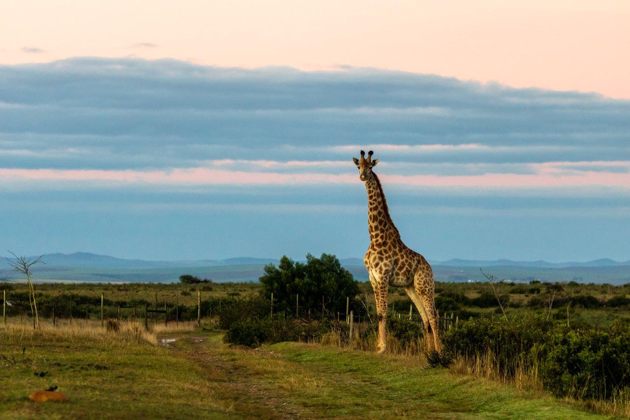 Kwetu Guest Farm | Accommodation Swellendam