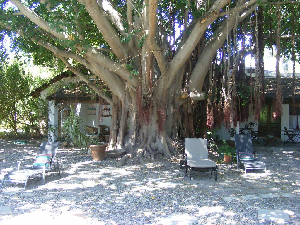 Saint du Barrys Guest House | Clanwilliam Accommodation