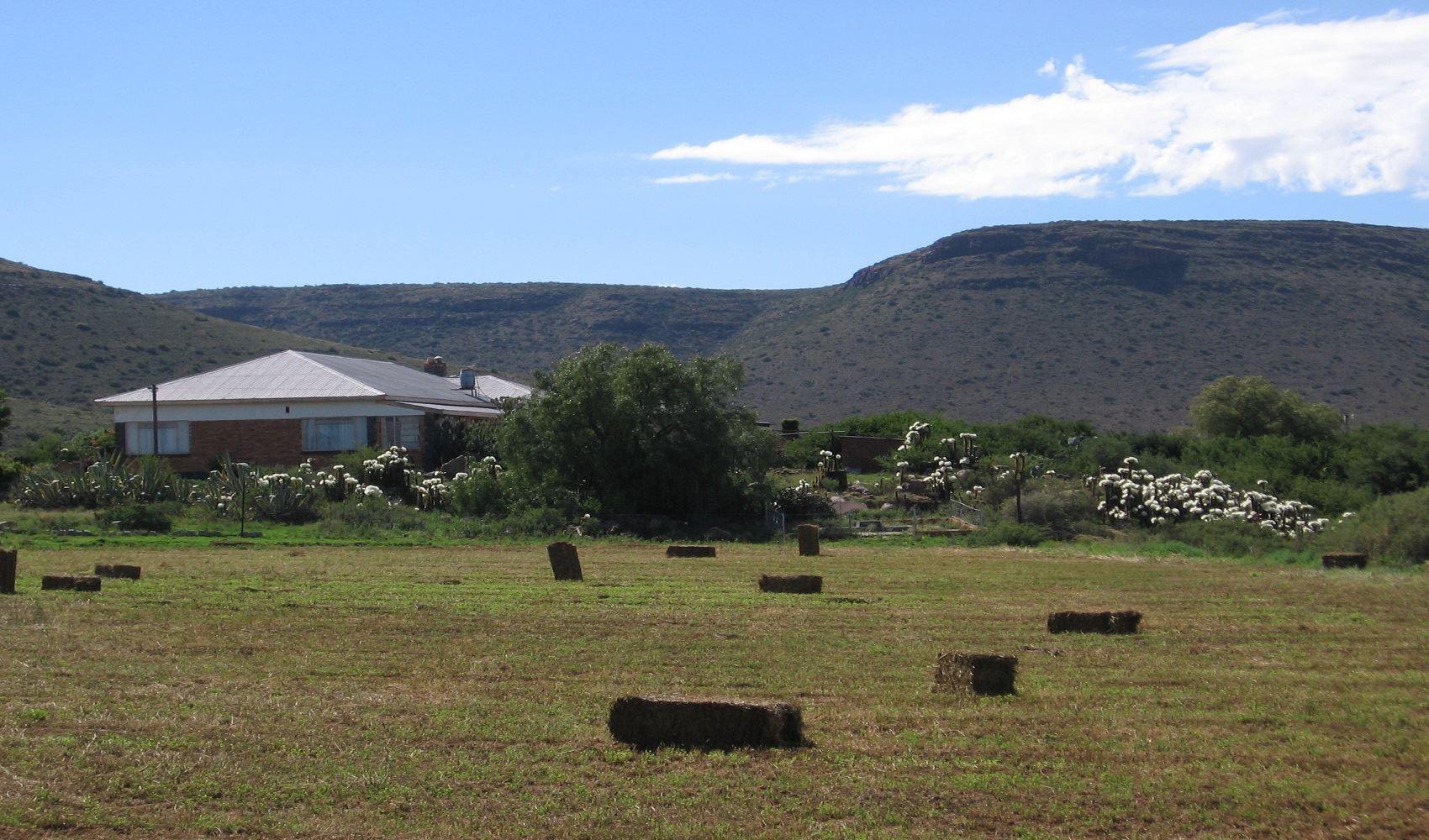 The Dairy BnB & Adventures | Accommodation Noupoort