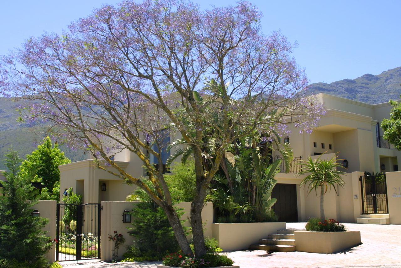 21 Roux Street Guesthouse | Franschhoek Accommodation